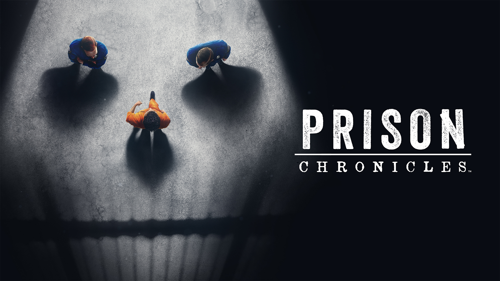 A dark promotional graphic for “PRISON CHRONICLES” Shadowy architectural forms create a skull-like face, with small human silhouettes positioned within its features. The black, white, and charcoal palette gives it an ominous, dramatic tone.