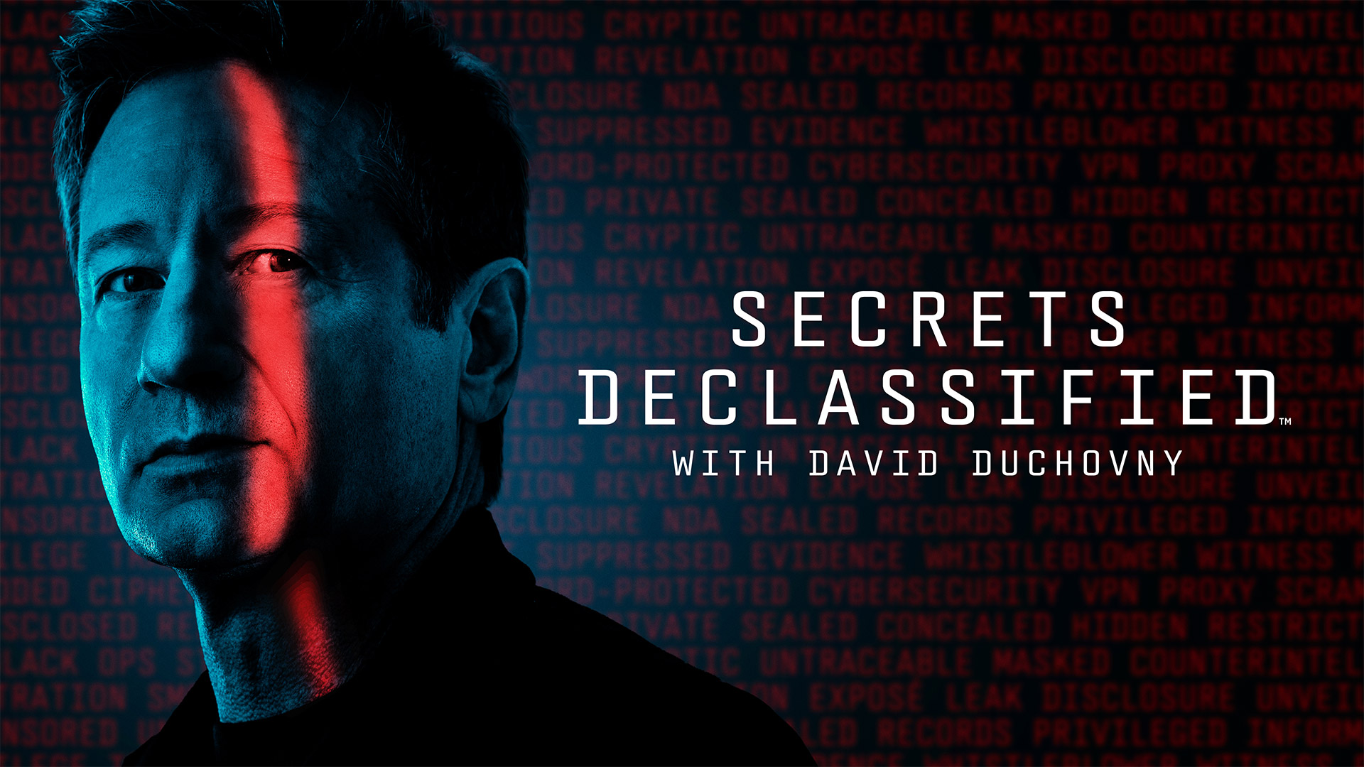 David Duchovny appears in promotional artwork for the History Channel series “Secrets Declassified with David Duchovny.”