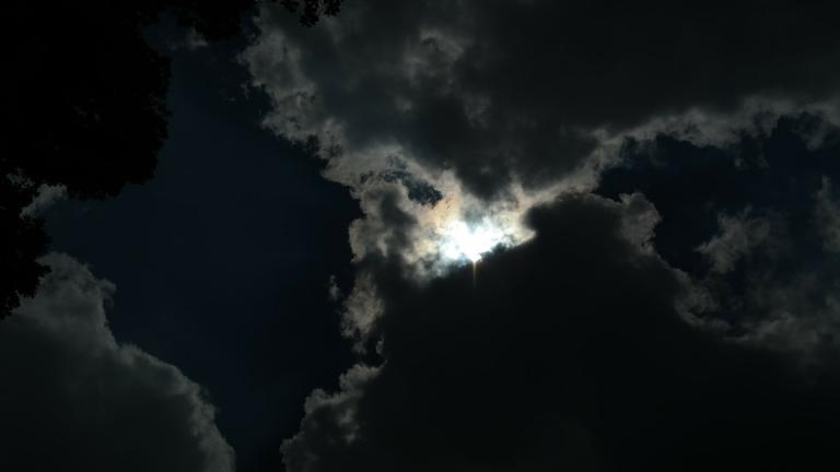 When we lose our myths we lose our place in the universe.'