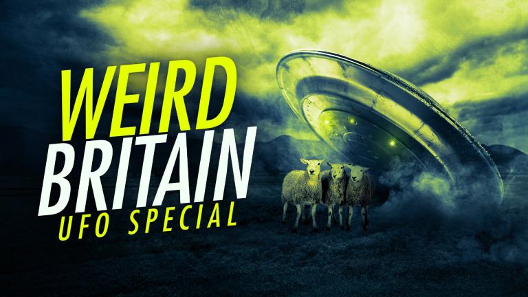 WEIRD BRITAIN: UFO SPECIAL - Some sheep standing in front of a crashed flying saucer